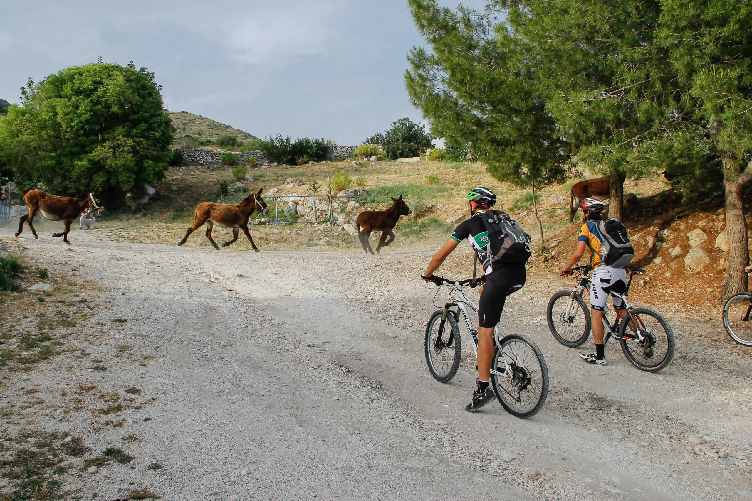 tour enogastronomico in bici